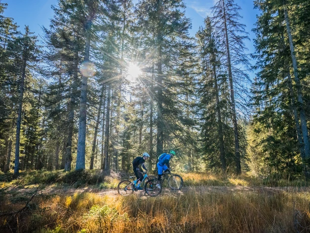 Auf dem alten Schwyzerweg Richtung Oberiberg