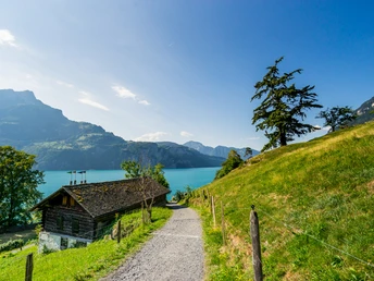 Wanderung mit Aussicht in Sisikon am Urnersee