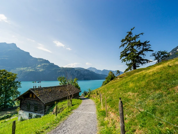 Wanderung mit Aussicht in Sisikon am Urnersee