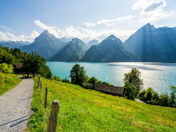 Wanderung mit Aussicht in Sisikon am Urnersee