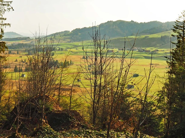 Aussicht auf die Moorlandschaft