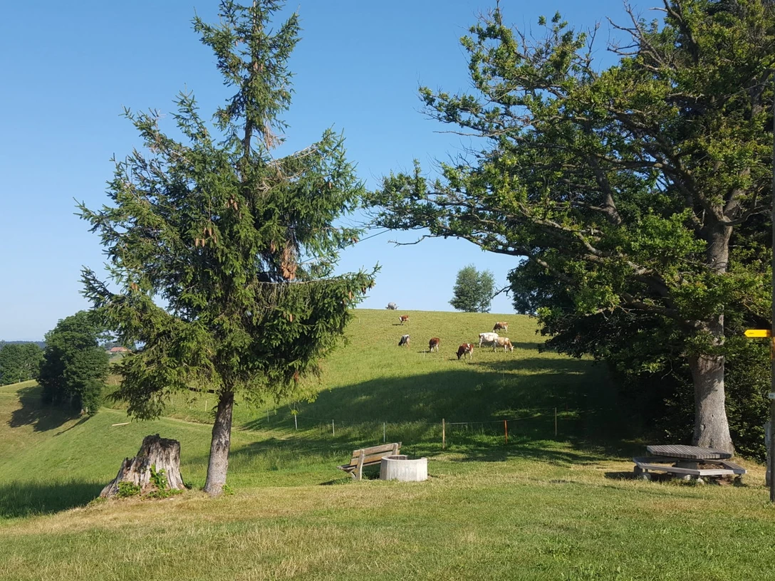 Feuerstelle Wettertanne Kurzhubelegg Luthern