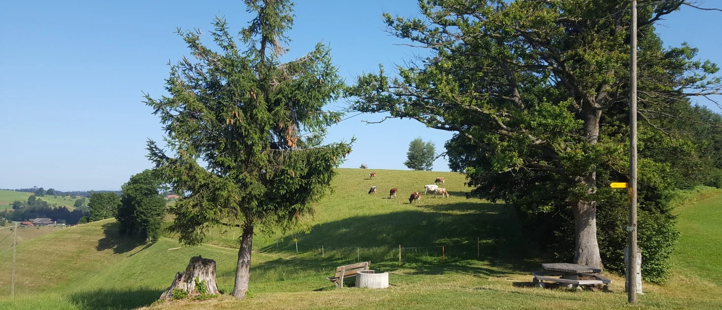 Feuerstelle Wettertanne Kurzhubelegg Luthern