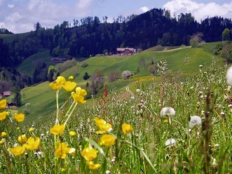 Luthertal
