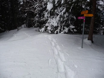 Zwischen Hinterey und Badegg