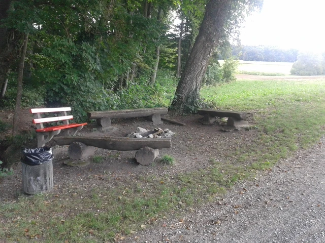 Grillplatz Erlenhölzli Meisterschwanden