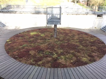 Lenzburg Grillplatz im Lenz