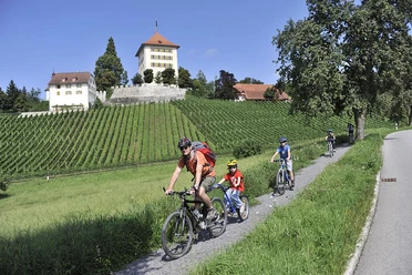 Schloss Heidegg