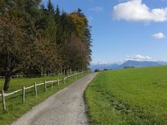 Seetal: Wandertipp Nr. 5 Schongau - Horben - Schongau