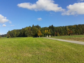 Wandern auf dem Horben