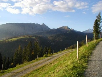 Alp Honegg mit Blick auf Giswilerstock und Rothorn