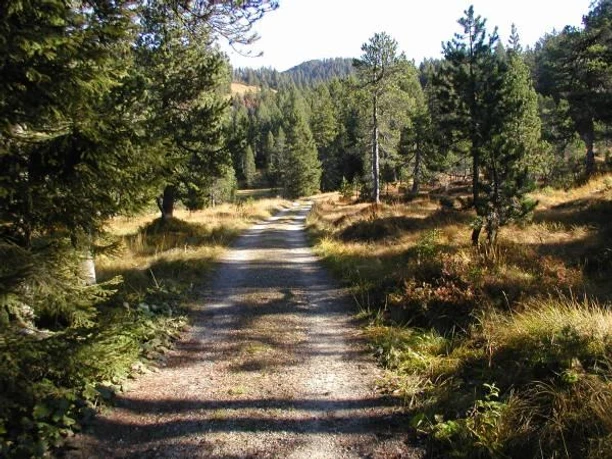 Hochtal zur Alp Schwand
