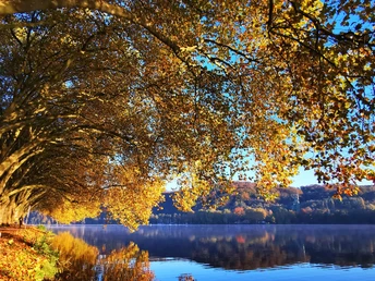 Baldeneysteig - Allee Haus Scheppen seg_vivi