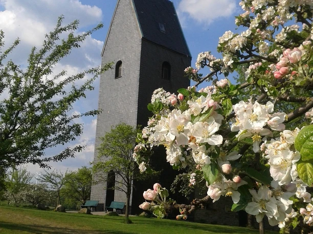 Windrather Kapelle Historische Kapelle mit dunkelgrauem Turm, umgeben von blühenden Bäumen unter blauem Himmel.