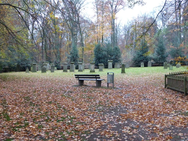 Alter Jüdischer Friedhof Dicht stehende Baumgrabsteine im herbstlichen Laubfall eines alten jüdischen Friedhofs, mit Sitzbank.