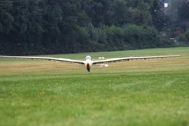 LSG Erbslöh Ein Segelflugzeug im Landeanflug auf eine grüner Landingstrip mit Waldrand im Hintergrund.