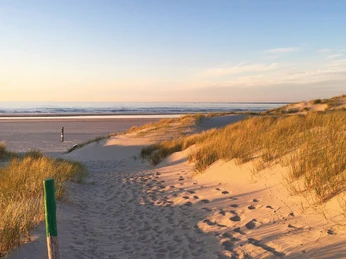 gezeitenpfad_strandübergang ntb_2_(c) denis metz.jpg