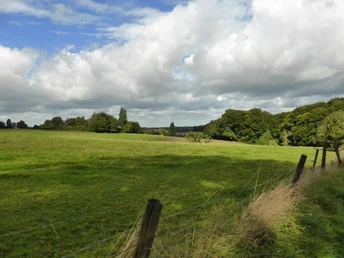 Vom Osterholz zum Düsseltal Weite Wiesenlandschaft mit sanften Hügeln und vereinzelten Bäumen unter einem bewölkten Himmel.