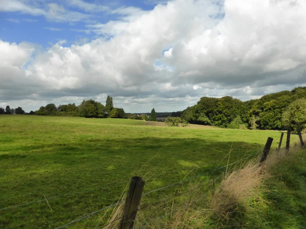 Vom Osterholz zum Düsseltal Weite Wiesenlandschaft mit sanften Hügeln und vereinzelten Bäumen unter einem bewölkten Himmel.