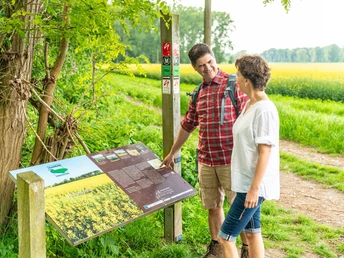 AuenBicke-Infotafel in der Urdenbacher Kämpe bei Monheim am Rhein Ein Paar betrachtet eine Infotafel über Naturschutz und lokale Flora in einer grünen Landschaft.