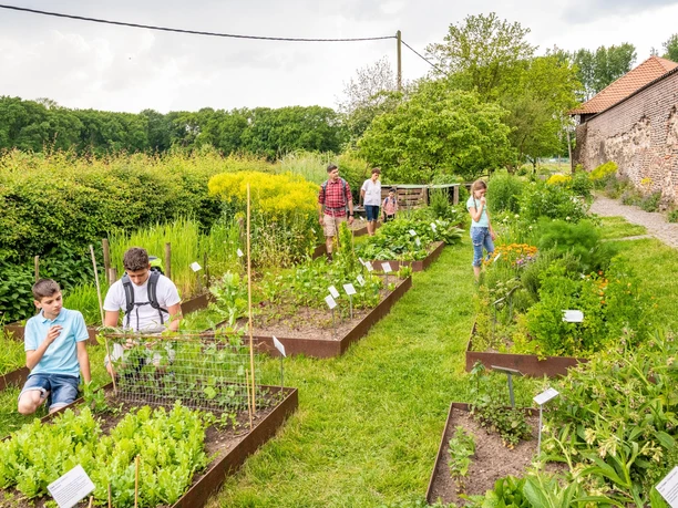 Historischer Kräutergarten bei Haus Bürgel nahe Monheim am Rhein Menschen erkunden einen historischen Kräutergarten mit Beeten und Informationstafeln, umgeben von Natur.