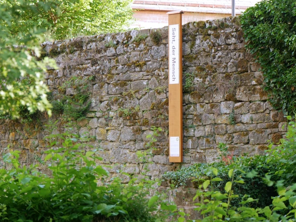 Bibel-Pfahl Gehrden Steinmauer mit angelehntem Holzpfahl und Schild; umgeben von grüner Vegetation.