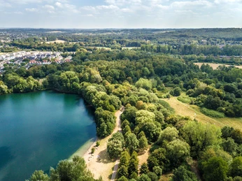 Blick auf den Grünen See bei Ratingen Luftaufnahme eines grünen Sees inmitten von dichtem Wald und angrenzenden Wohngebieten bei Tageslicht.