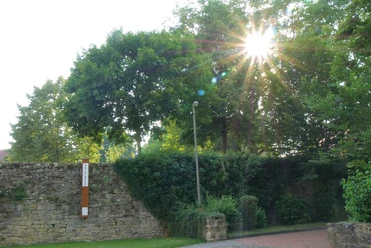 Bibel-Pfahl Gehrden Sonnenstrahlen durchdringen Bäume neben einer gemauerten Wand mit einem Bibel-Pfahl in Gehrden.