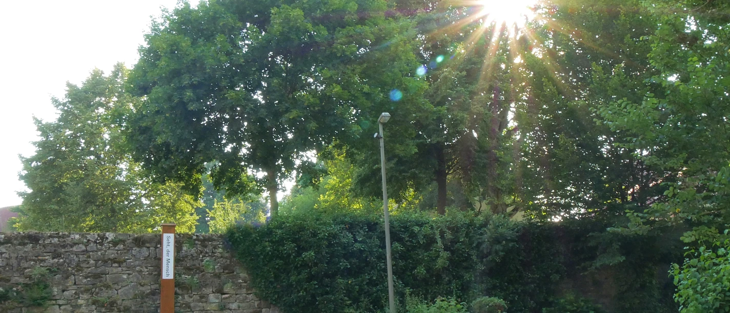 Bibel-Pfahl Gehrden Sonnenstrahlen durchdringen Bäume neben einer gemauerten Wand mit einem Bibel-Pfahl in Gehrden.