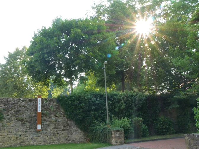 Bibel-Pfahl Gehrden Sonnenstrahlen durchdringen Bäume neben einer gemauerten Wand mit einem Bibel-Pfahl in Gehrden.