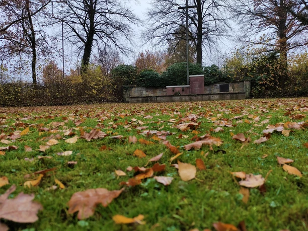 Mahnmal Exter Mahnmal in Exter, im Vordergrund sind Blätter zu sehen