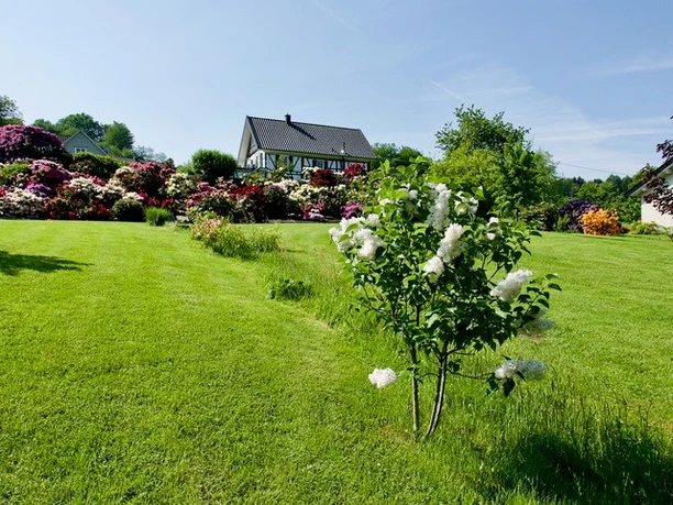 Wilkenroth Eine weitläufige grüne Wiese mit bunten Blumen, im Hintergrund ein charmantes Haus unter blauem Himmel.