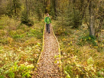 Steg am Moore-Pfad Schneifel