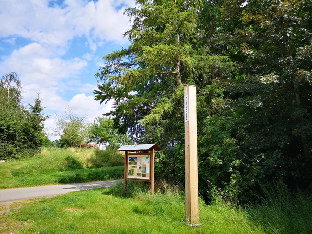 Bibel-Pfahl 20 - Borgentreich Ein Bibel-Pfahl umgeben von Bäumen, nahe einem Weg auf einer Wiese in Borgentreich.