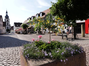 056HR - Gersfeld - Fußgängerzone.JPG