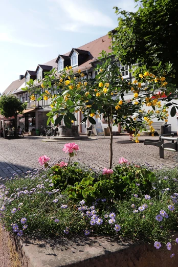 056HR - Gersfeld - Fußgängerzone.JPG