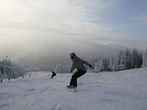 Buehlertallift Hundseck Snowboarder Buehlertallift Hundseck Snowboarder