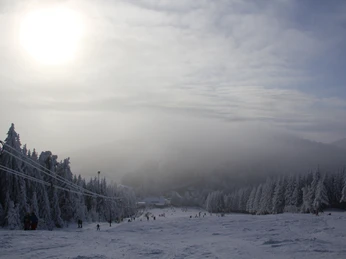Buehlertallift Hundseck Piste Buehlertallift Hundseck Piste