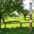 Ein hoher Pfahl mit Bibelverse in grüner Wiesenlandschaft, umgeben von Bäumen und einem Zaun.