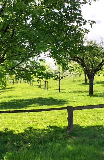 Ein hoher Pfahl mit Bibelverse in grüner Wiesenlandschaft, umgeben von Bäumen und einem Zaun.