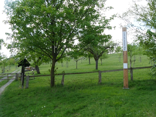 Holzpfahl mit Bibelzitat in grüner Wiesenlandschaft, umgeben von Bäumen und einem Holzzaun.