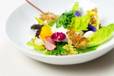 Reuter_5 Ein eleganter Salatteller mit bunten Blumen, Radieschen, frischen Blättern und leuchtenden Kräutern.