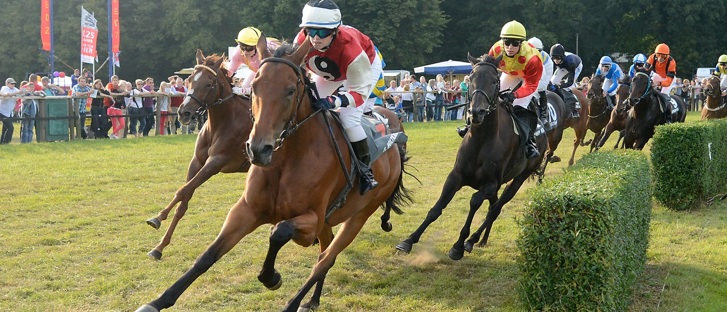 Artländer Renntag Artländer Renntag