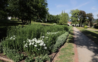 030HR - Gersfeld - Schlosspark.JPG