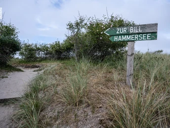 Wäldchen auf Juist.jpg Wäldchen auf Juist