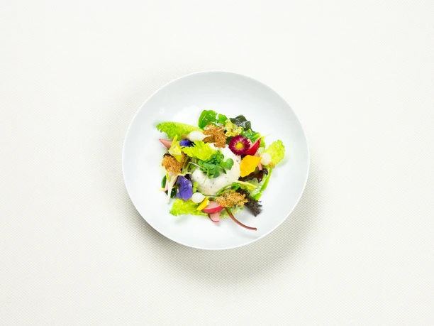 Ein weißer Teller mit einem kunstvoll angerichteten, farbenfrohen Salat auf hellem Untergrund.