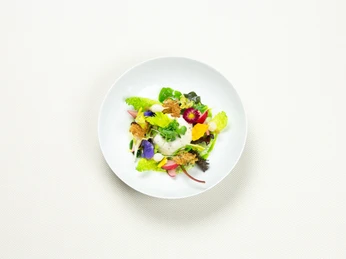 Reuter_6 Ein weißer Teller mit einem kunstvoll angerichteten, farbenfrohen Salat auf hellem Untergrund.