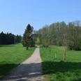 Ein breiter Schotterweg führt durch eine grüne Wiese, gesäumt von einer Baumreihe unter klarem Himmel.