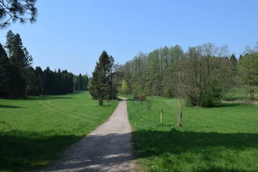 Silvaticum Ein breiter Schotterweg führt durch eine grüne Wiese, gesäumt von einer Baumreihe unter klarem Himmel.