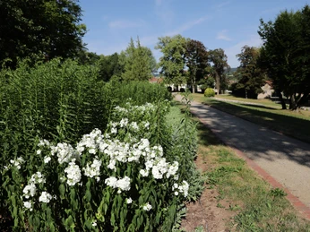 031HR - Gersfeld -Schlosspark.jpg